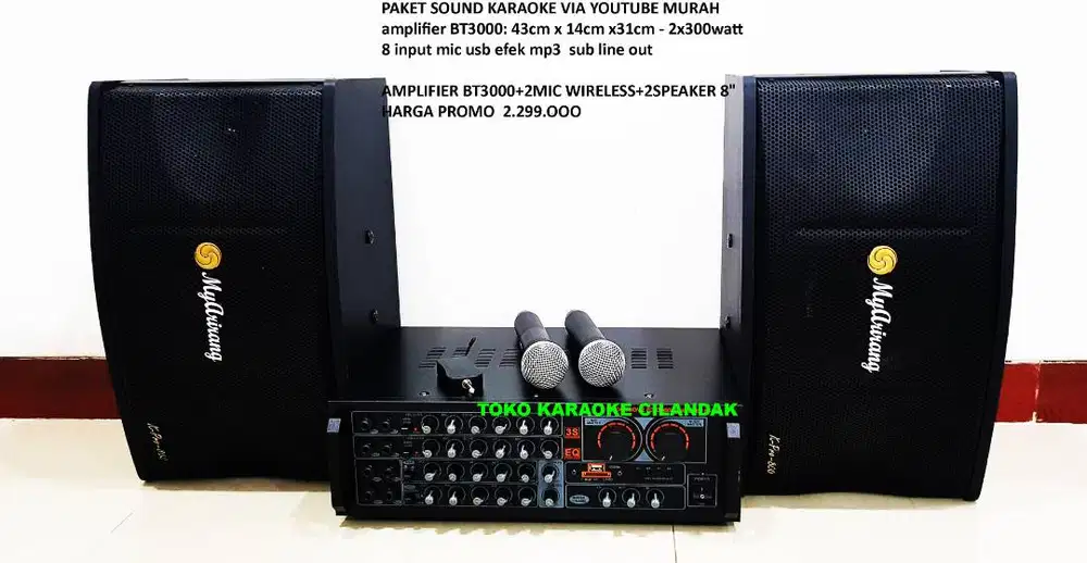 AMPLIFIER BT3000 + mic 2
