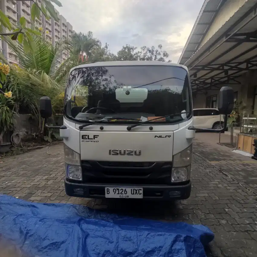 ISUZU ELF NLR 2023