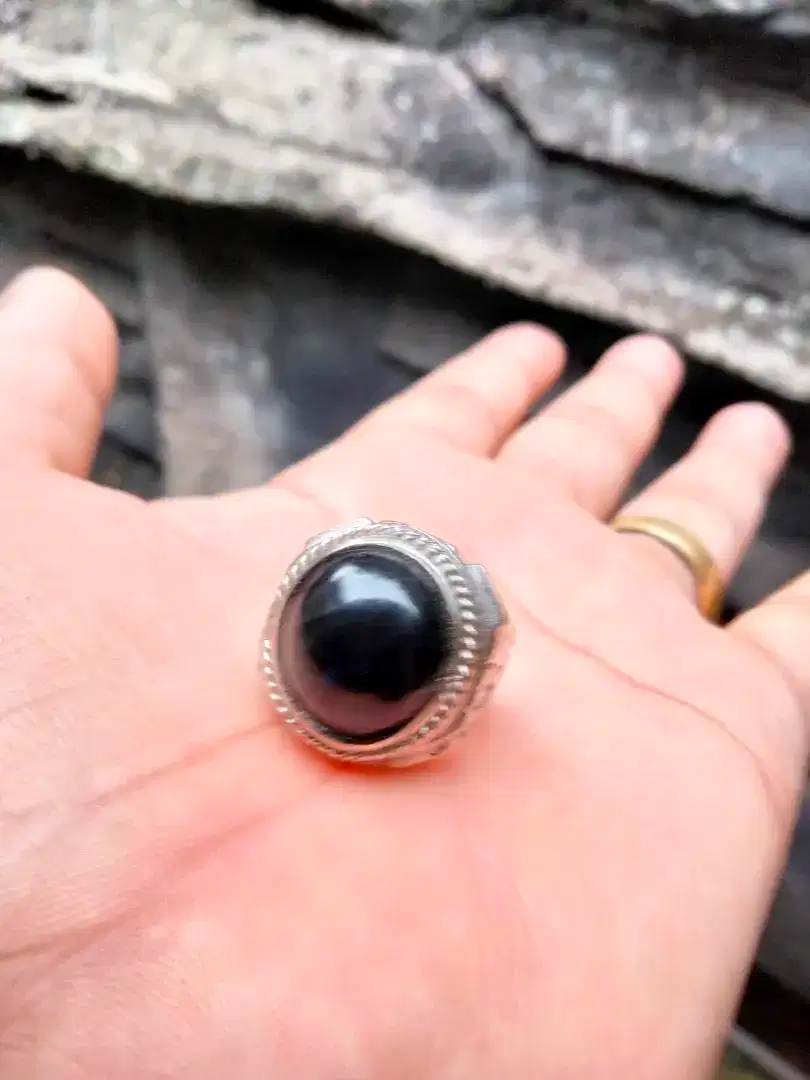 Batu fosil kelor hitam pekat