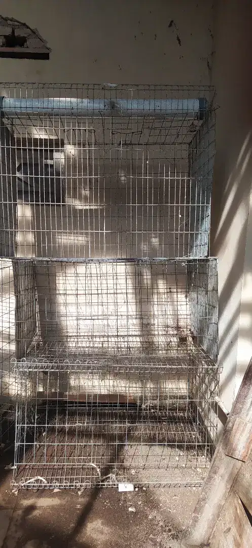 Kandang besi untuk ayam atau kucing