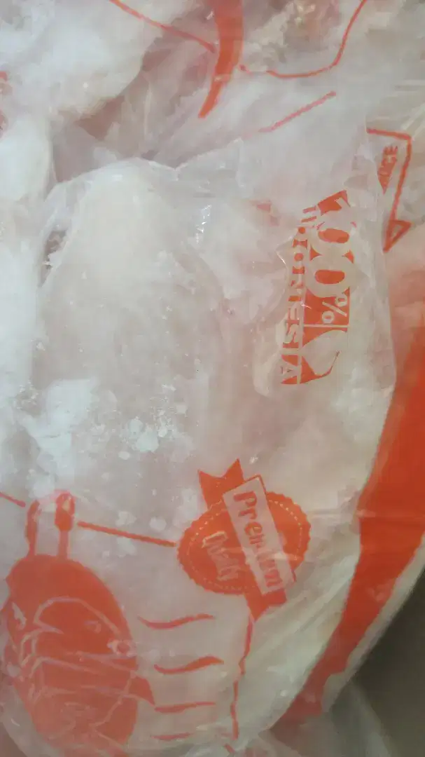 Dori Fillet NBL 1 kg - Kota Depok