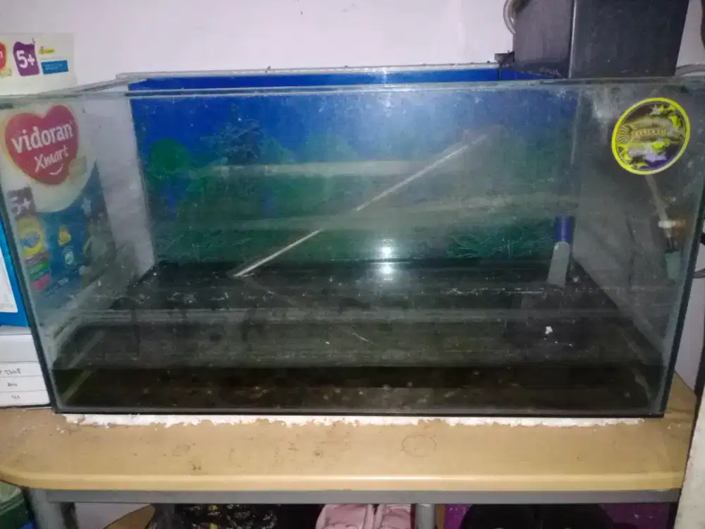 Borong aquarium tiga buah