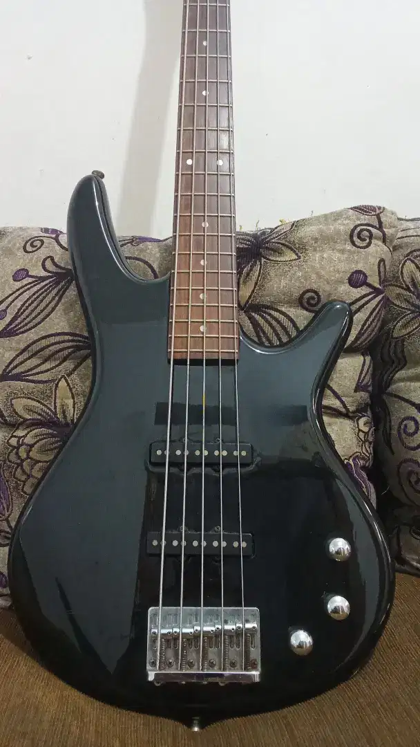 Ibanez gio 5string