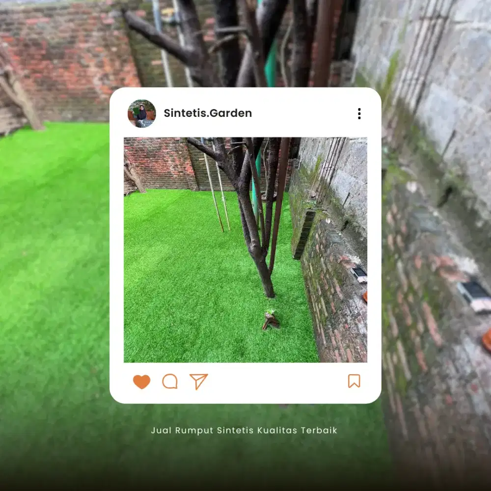Rumput hijau tanpa ribet? Bisa!