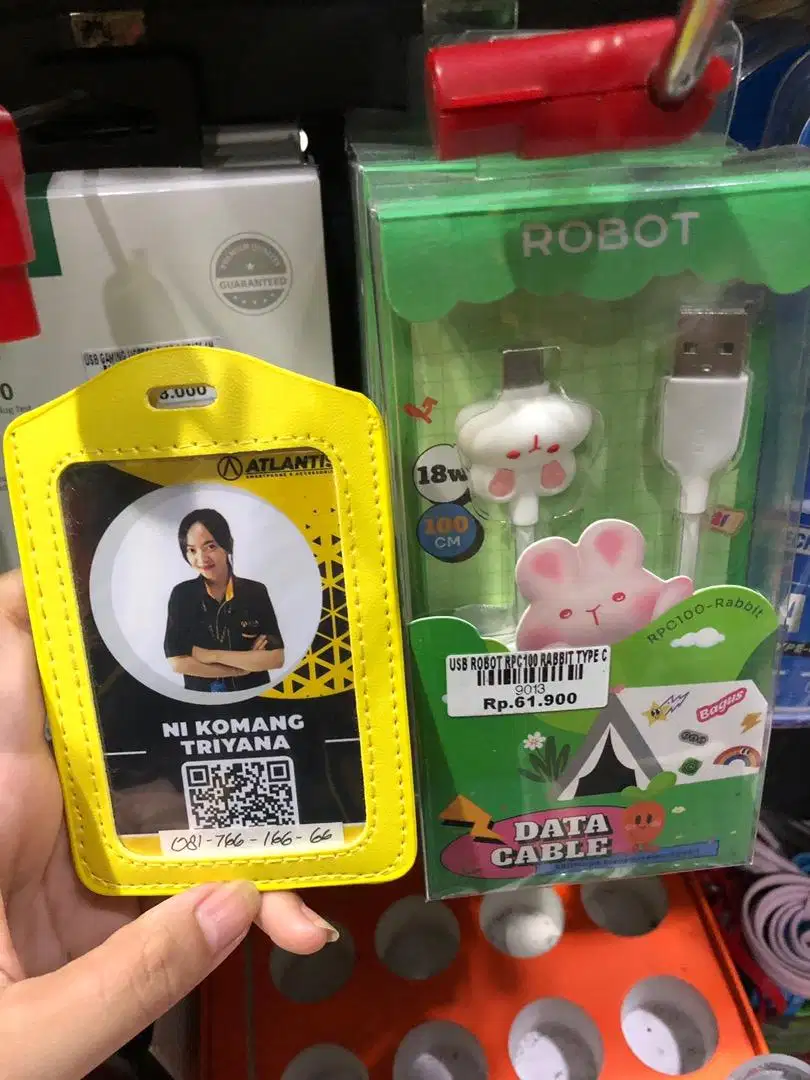 USB ROBOT RPC100 RABBIT TYPE C ATLANTIS DAHSYAT