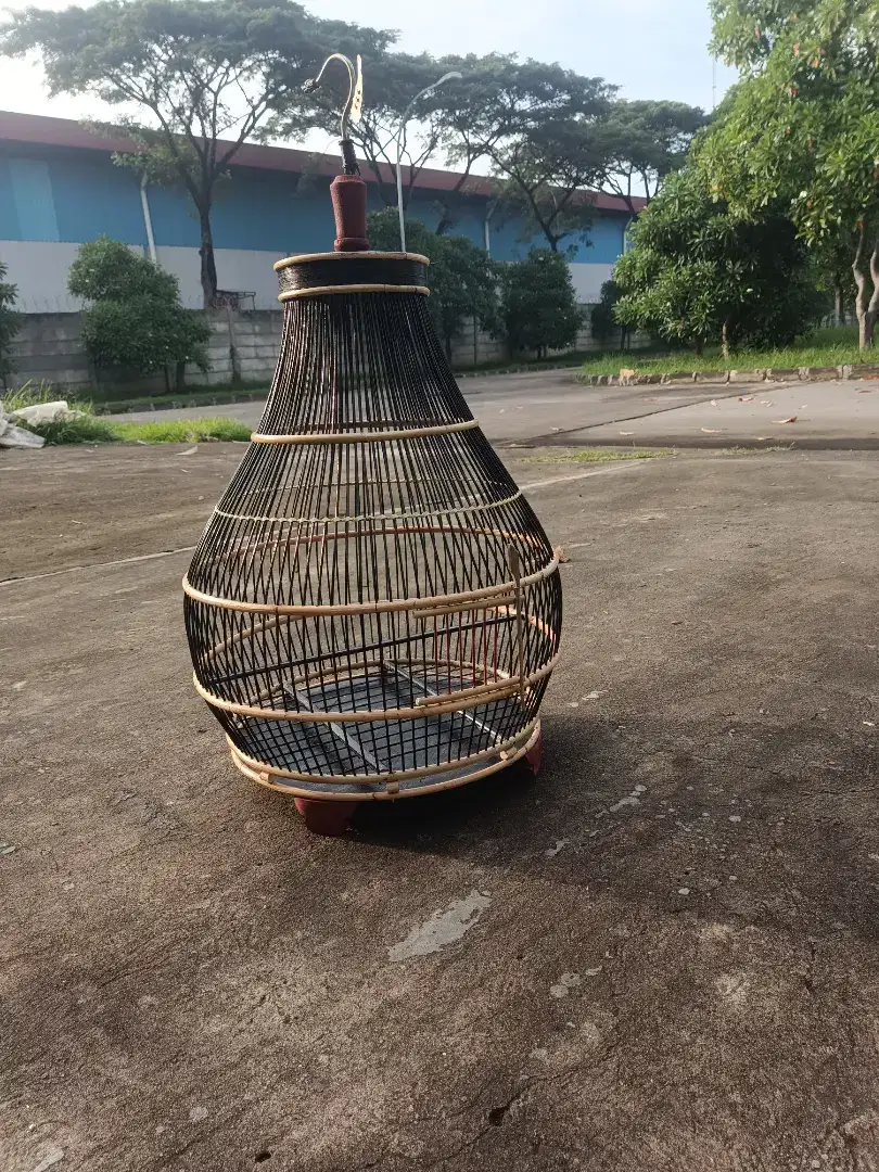 Sangkar burung derkuku puter model kerucut perut semar