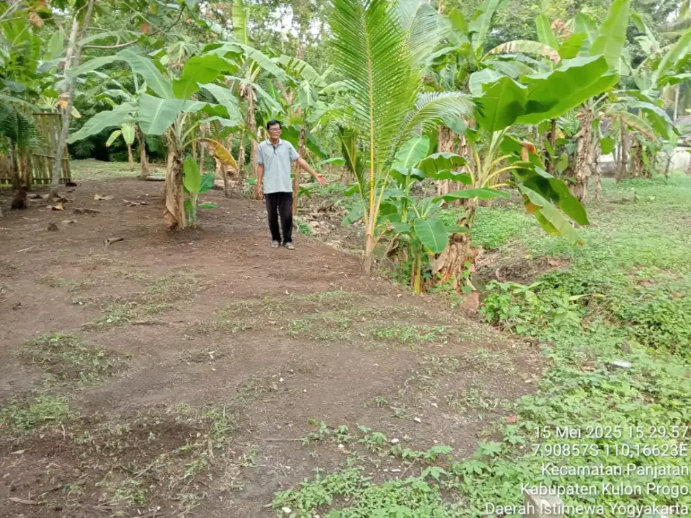 Jual tanah sangat subur ,posisi datar