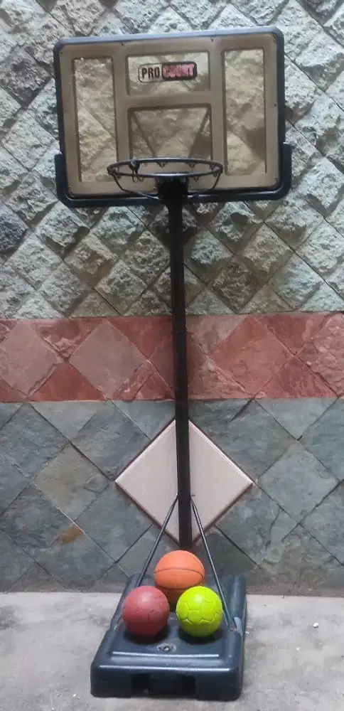 Ring Basker PROCOURT Portable