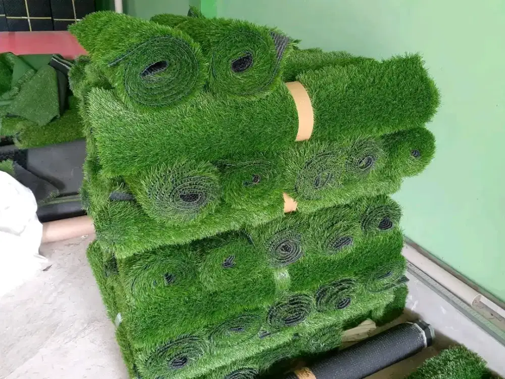 Jual rumput karpet harga bersahabat