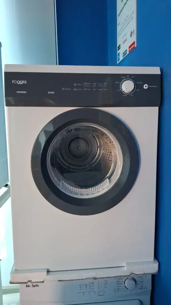 Dryer foggia 10.5 kg