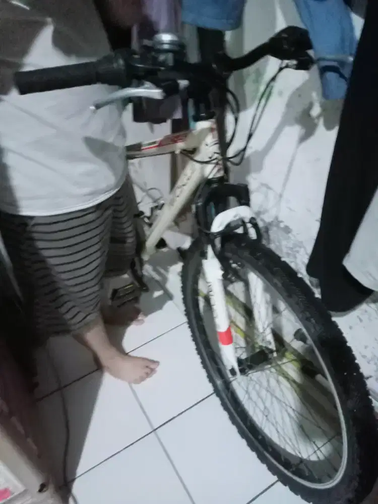 sepeda gunung wimcycle