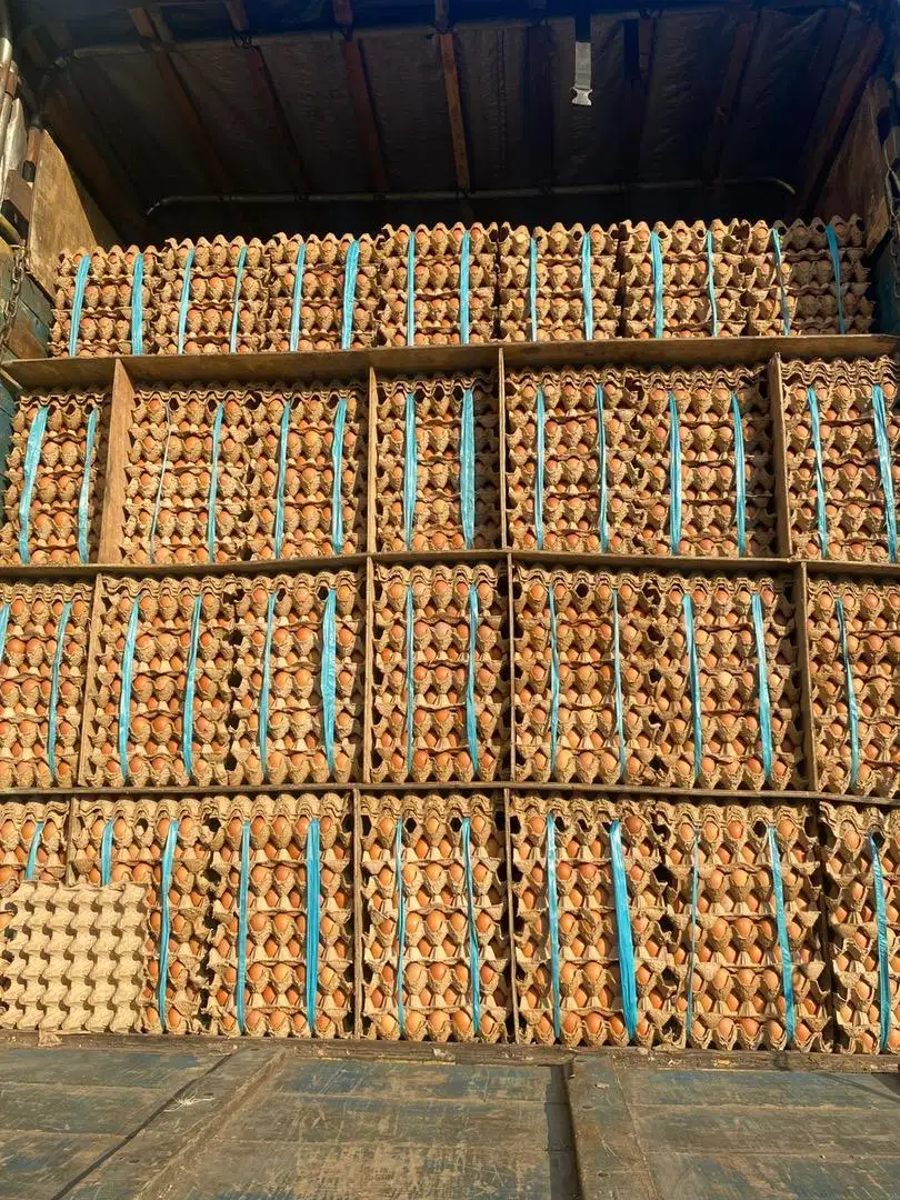 sales dan canvaser keliling