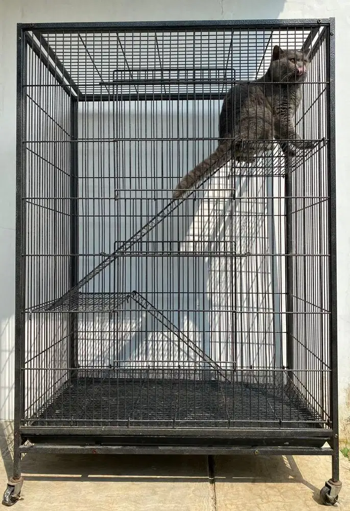 KANDANG KUCING TINGKAT BESAR
