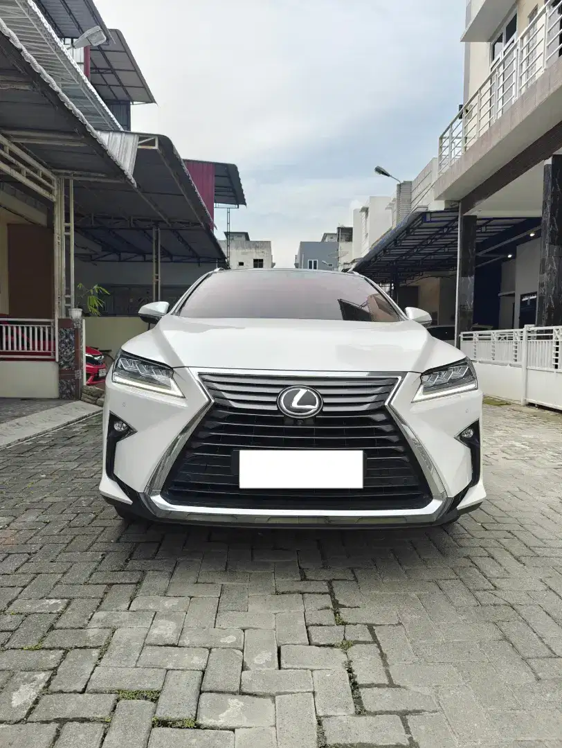 [Odo 30 rb] Lexus RX 300 Luxury 2019