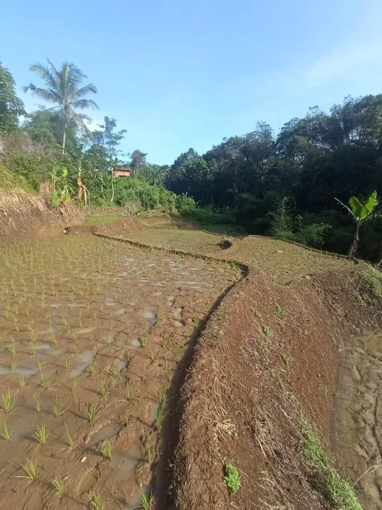 DIJUAL TANAH DARAT DAN SAWAH