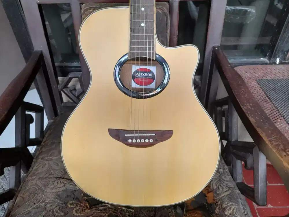 Gitar Akustik Elektrik APX 500 Custom