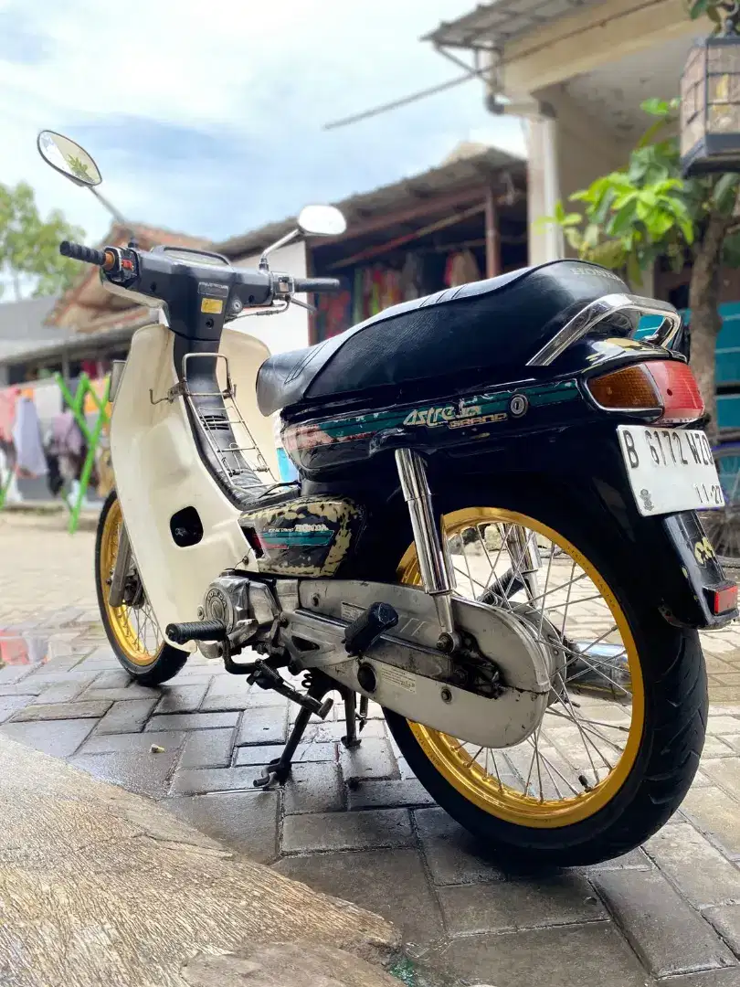 Astrea grand bulus 1992