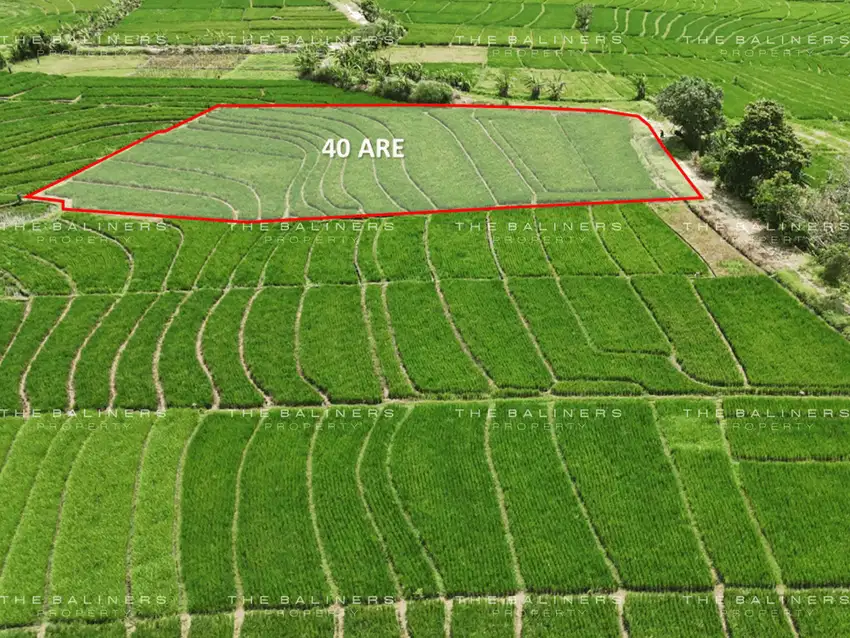 QUIET AND SCENIC LAND PLOT IN TABANAN WITH TOURISM POTENTIAL