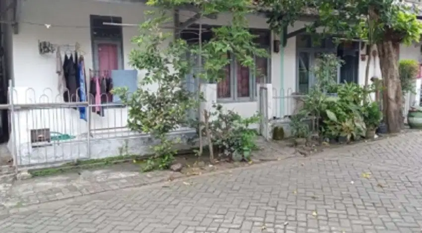Jl. Sambikerep Gg Mangga Rt 02 Rw 04 Kel Sambikerep Kec Sambikerep Sby