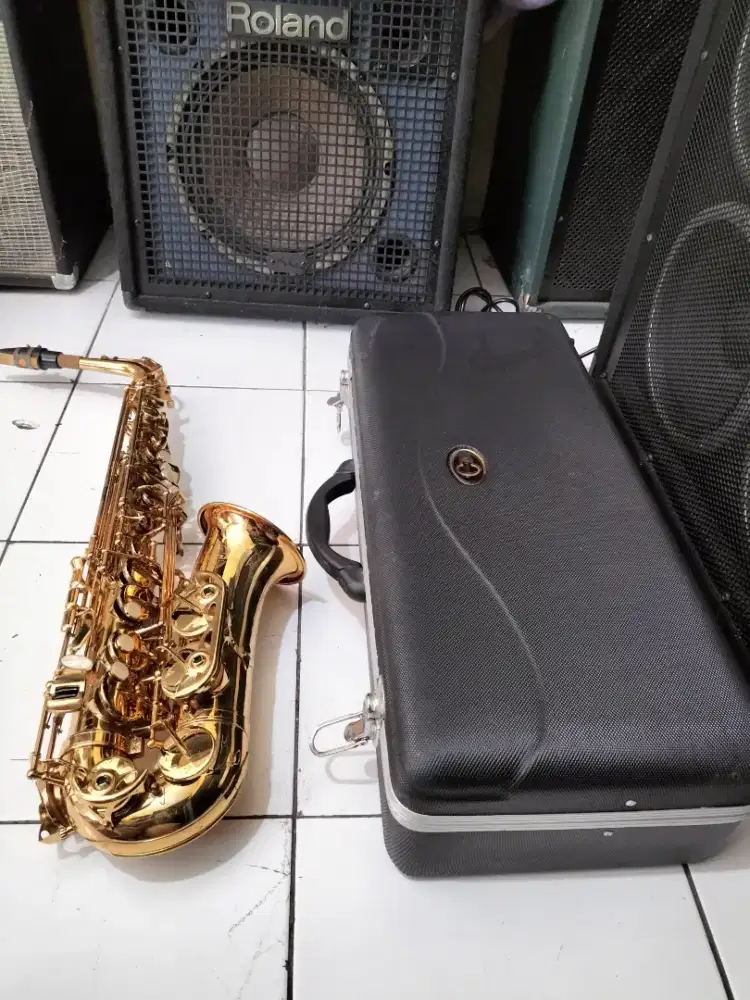 Saxophene Osrava mulussss