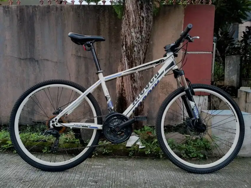 Sepeda MTB Aleoca ring 26'