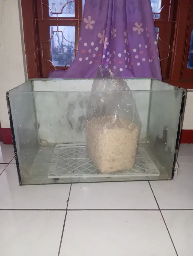 AKUARIUM IKAN KACA TEBAL