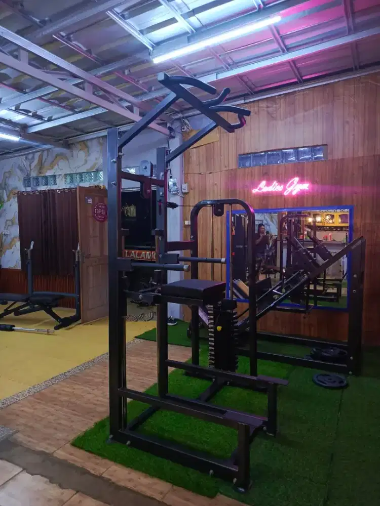 chin up + dips machine