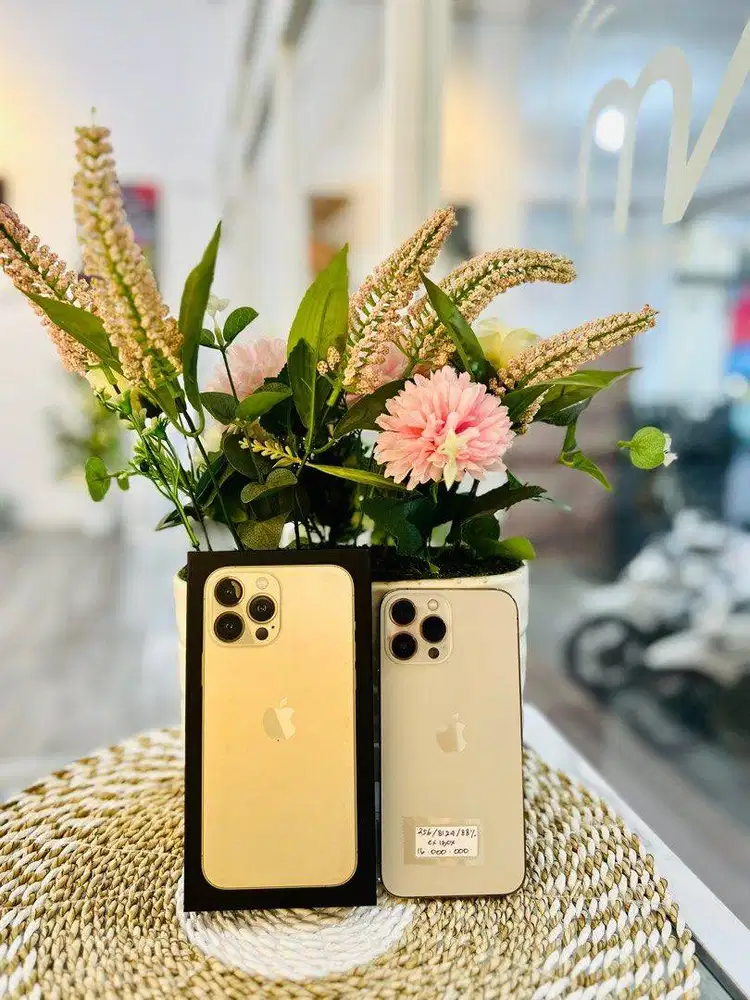 di bli iphone 13 pro 256gb