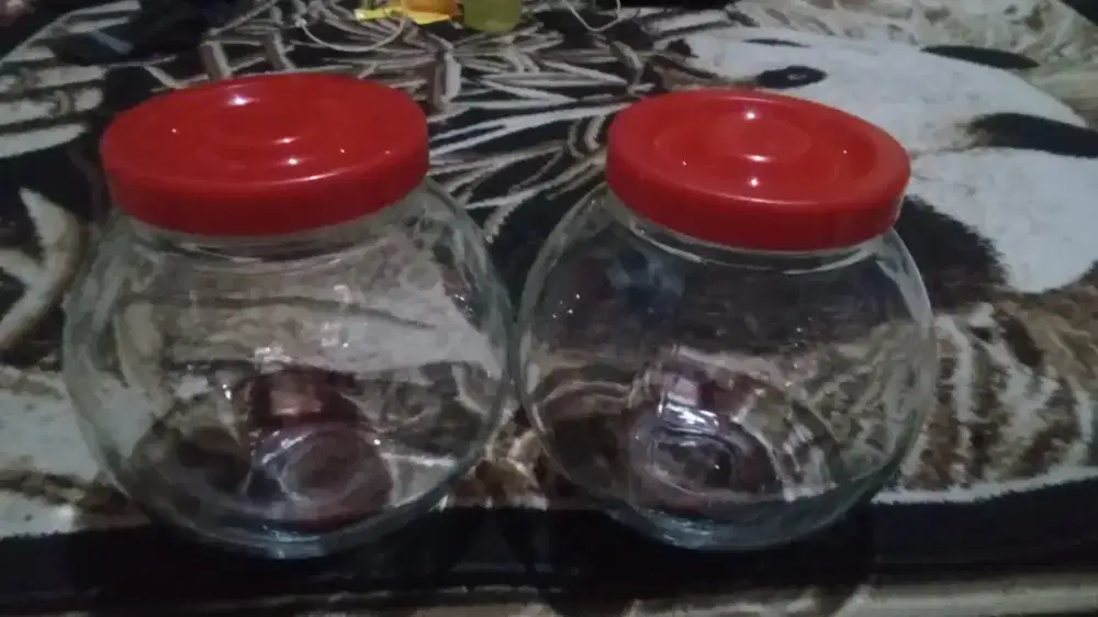 Toples jadul 2 bj buat kafe atau aquarium jg bs