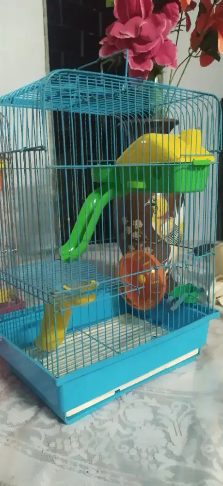 Kandang hamster bekas pakai