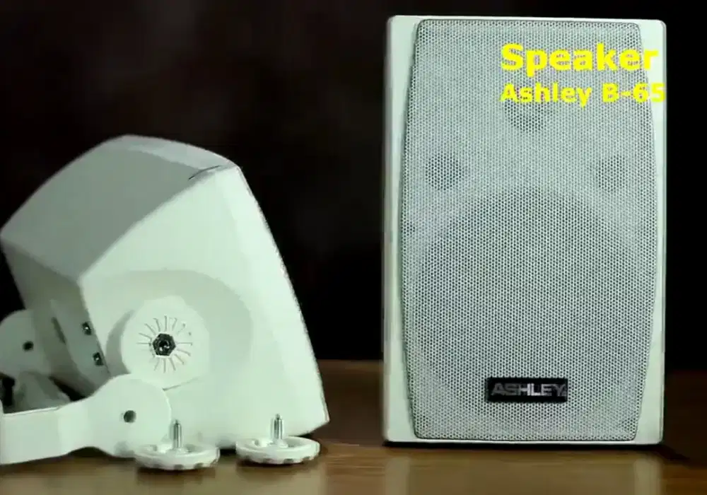 Sepasang speaker dinding Ashley b65 6,5inch 60watt indoor