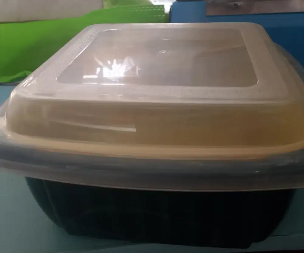 Tempat pencuci buah dan sayur 2 in 1