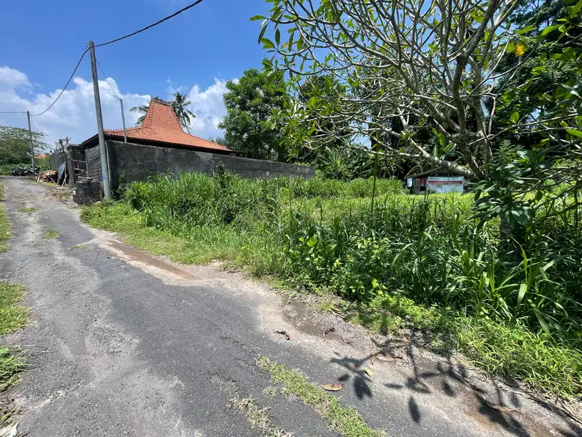 Dijual Tanah Super Murah Cocok Untuk di Kavling atau Bikin Villa