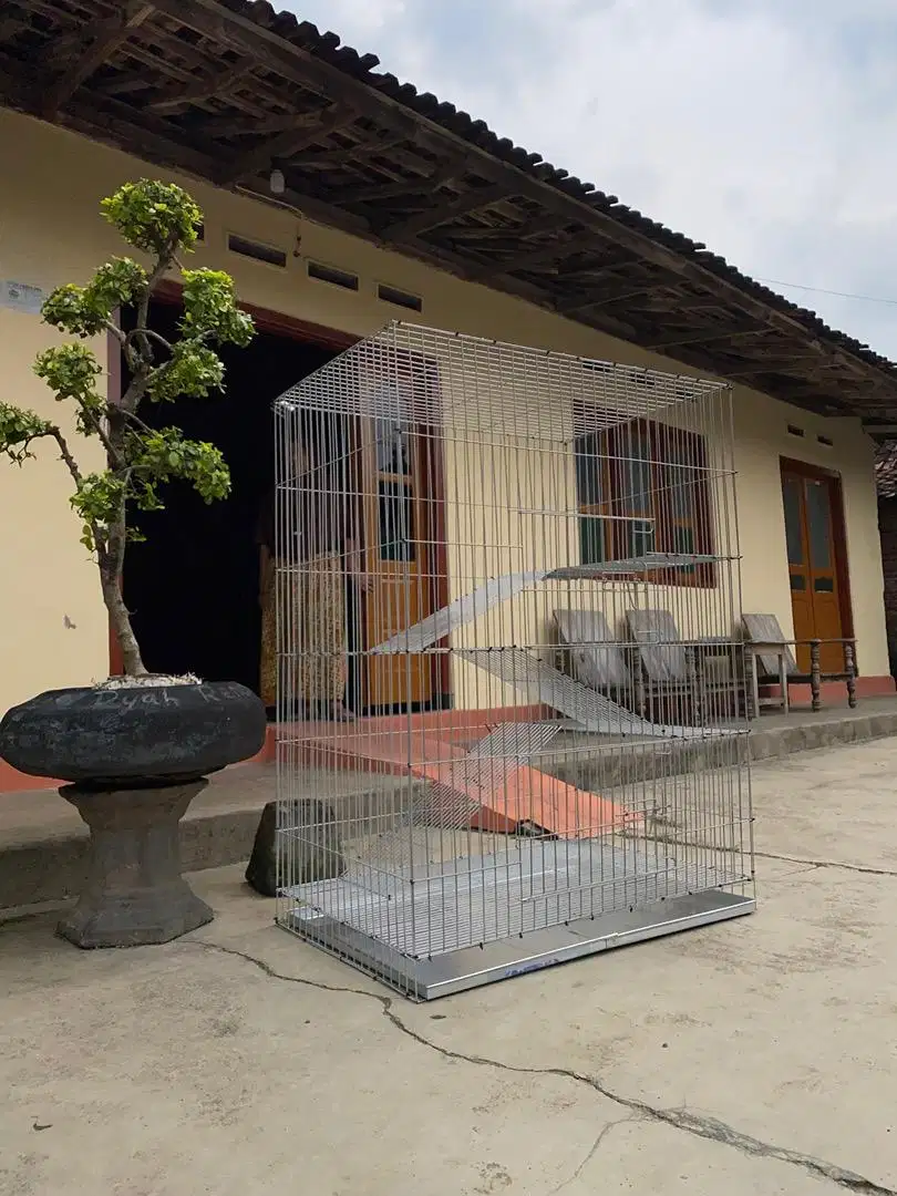 New KandanG Kucing solo
