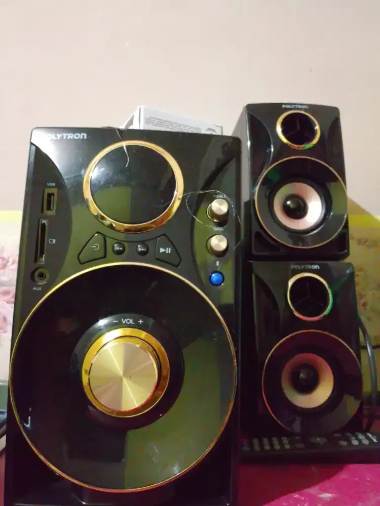 speaker polytron pasif