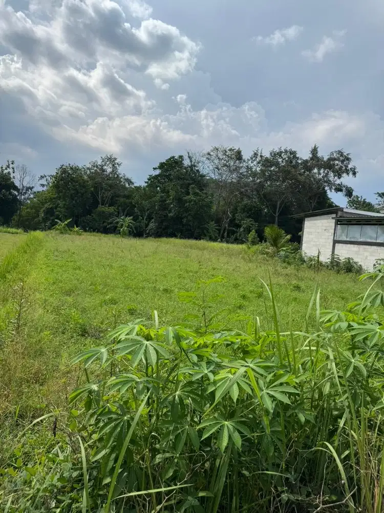Dijual Tanah Sawah lokasi strategis