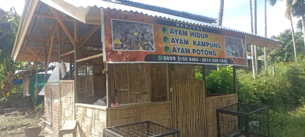 Pengurus peternakan ayam kampung