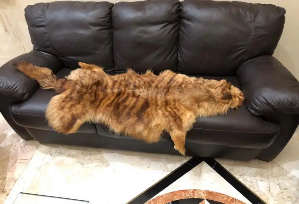 pajangan bulu fur asli antik rate item