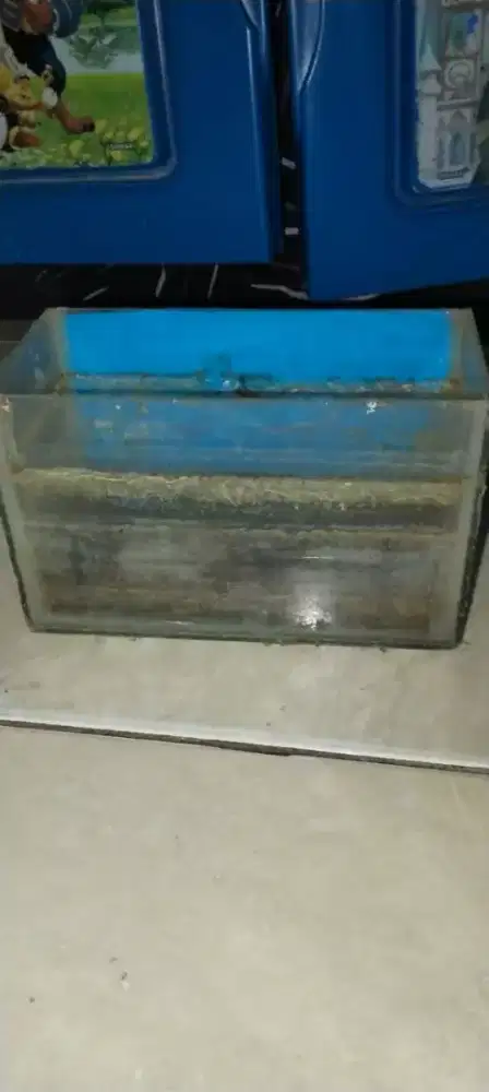 Jual soliter/aquarium ukuran kecil ikan hias
