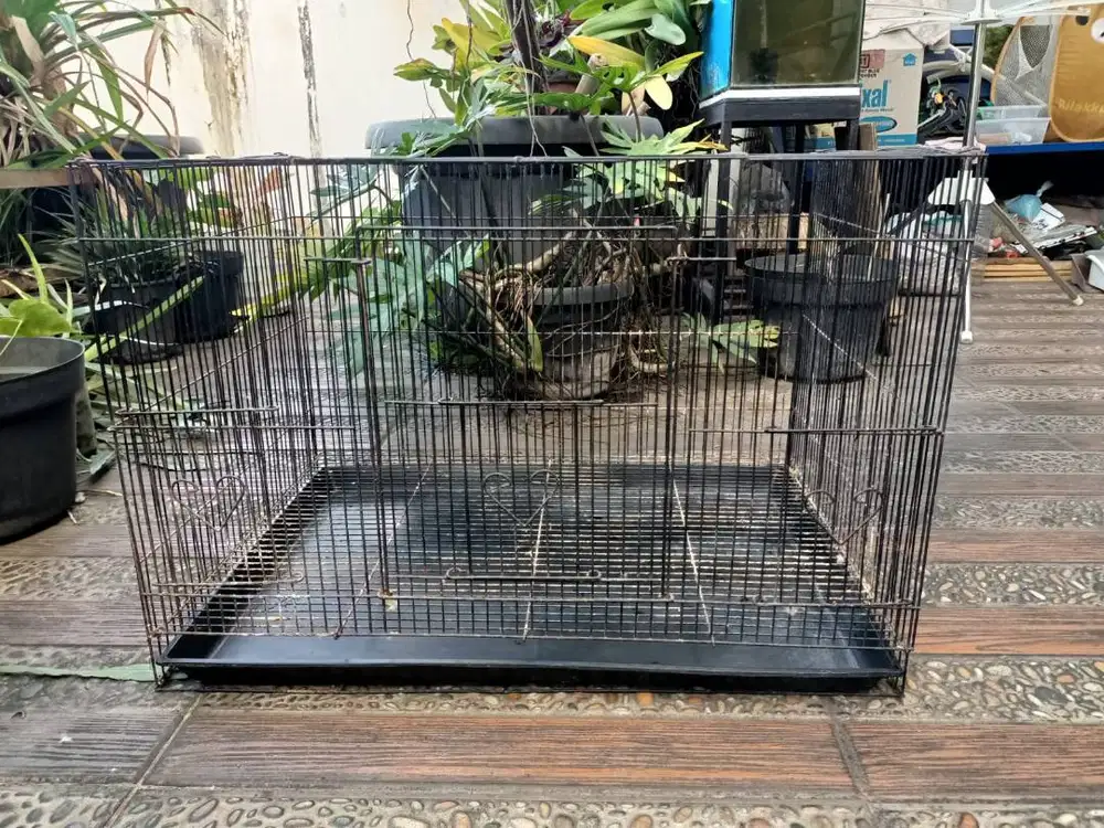 Kandang burung Lovebird