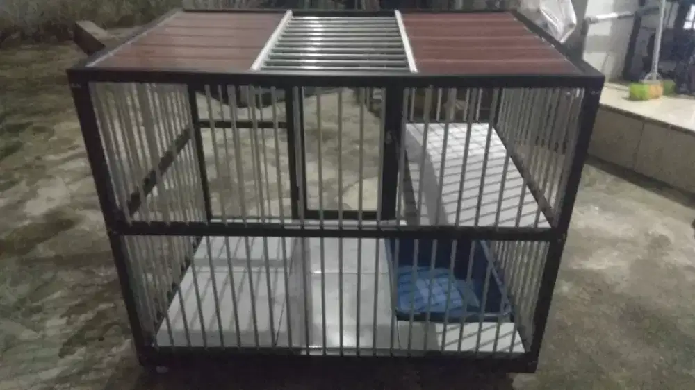 Di jual  kandang kucing tingkat plus 1 ekor Kucing Persia