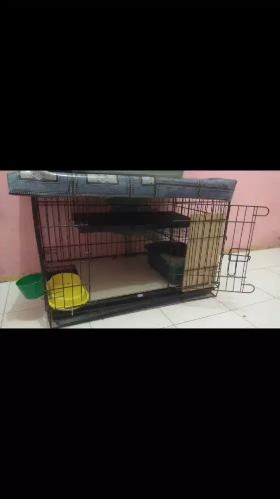 Dijual kandang kucing besi lantai keramik