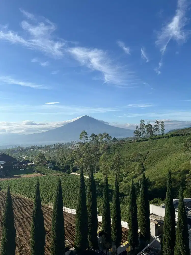 Lowongan kerja asisten rumah tangga (art)  harian pulang pergi