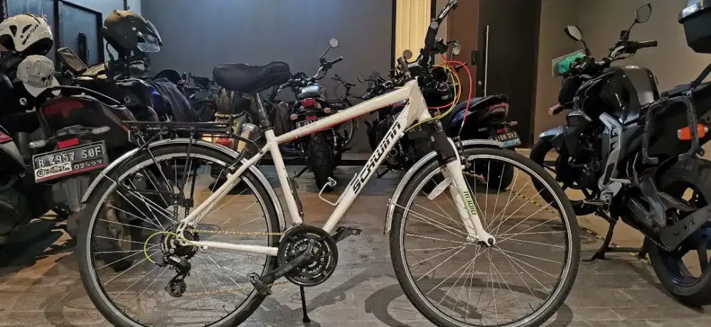 Schwinn MTB Gravel Searcher 4 Original B.U Fast