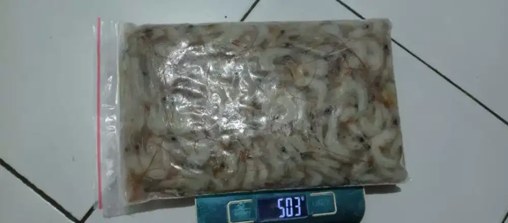Udang beku api size M 500 gram