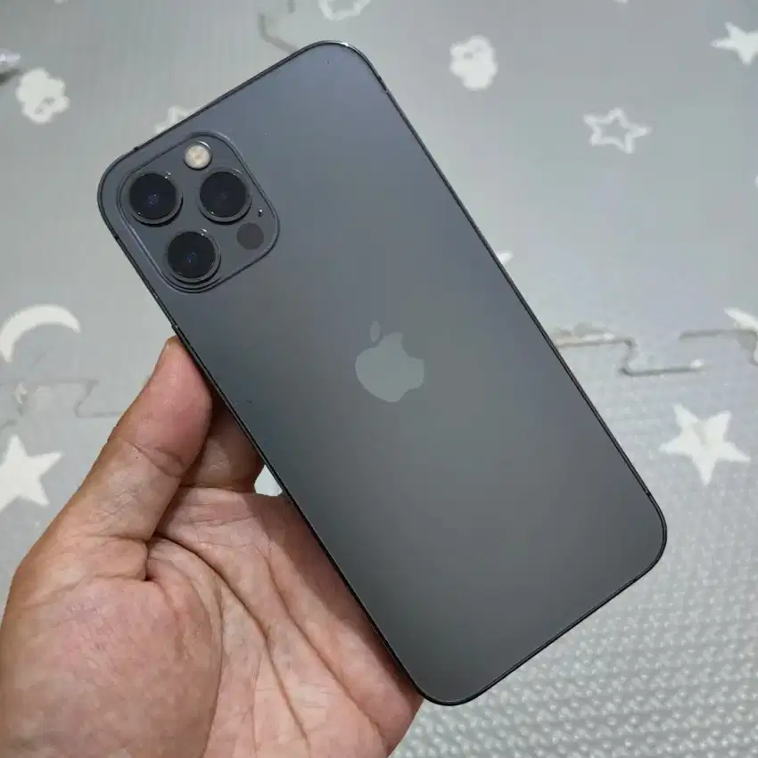 Iphone 12 Pro Max 256 Fullset Normal