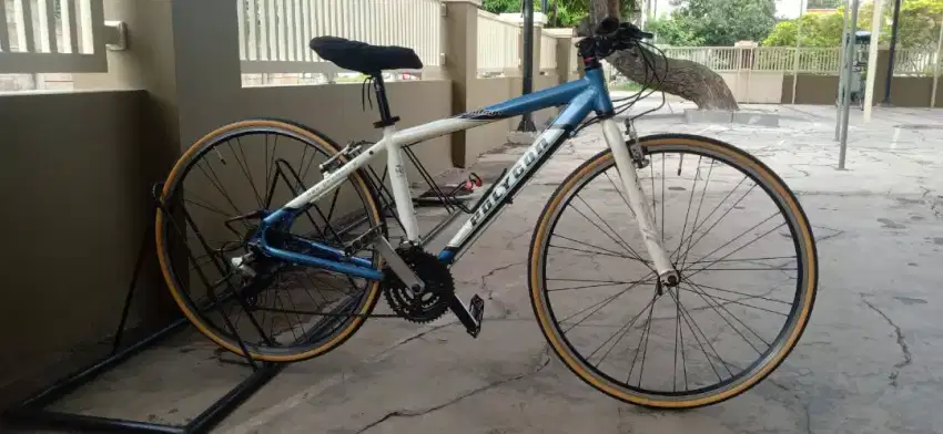 WTS Polygon Vintage Hybrid 700c