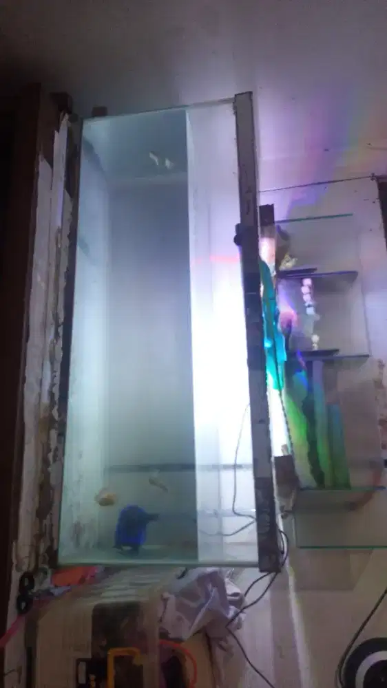 Aquarium 100×40×40 fullset