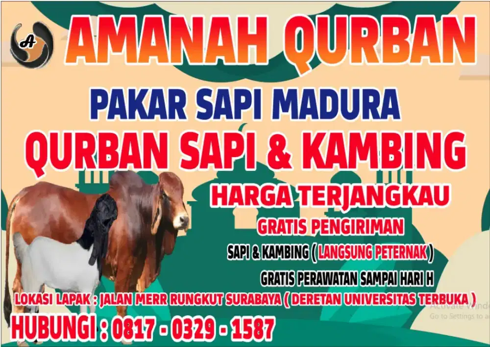 Sapi qurban 2026 Sapi Madura Free Ongkir & Perawatan Harga Termurah