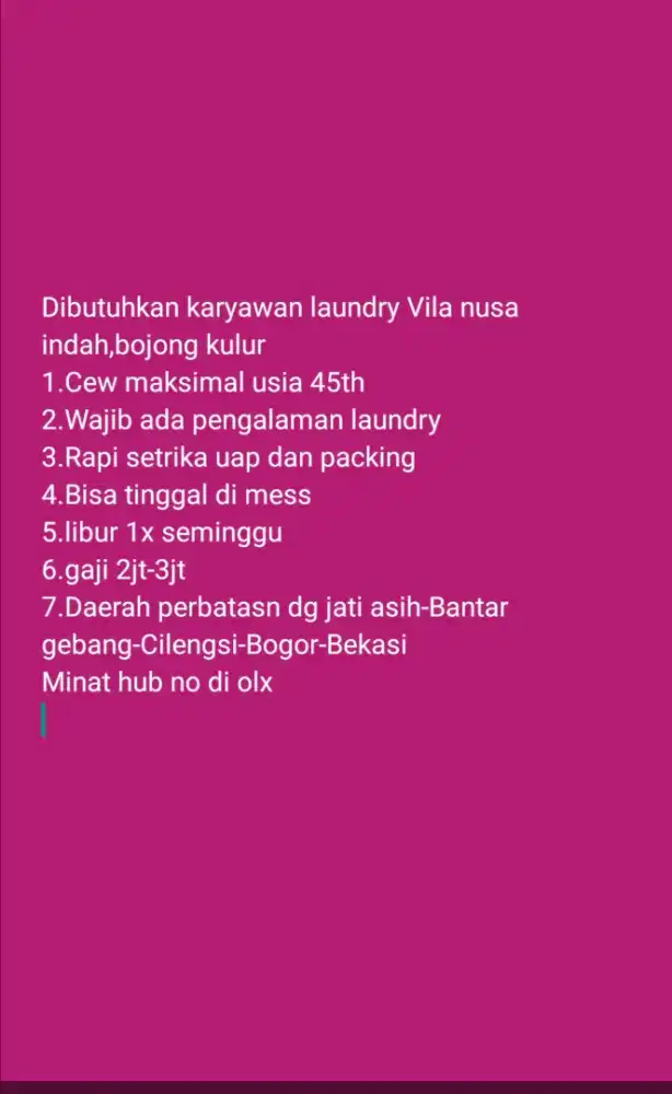 Karyawan laundry